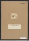 Coscinodiscus labyrinthus Roper. (de-Toni-Nr.: Genus 202, Species 4897) Zeichnungen Sammlung Grunow Nr. 8653 (NHMW-BOT-W0378057)